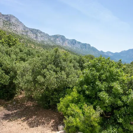 Apartments With A Parking Space Podaca, Makarska - 6736 Exterior foto