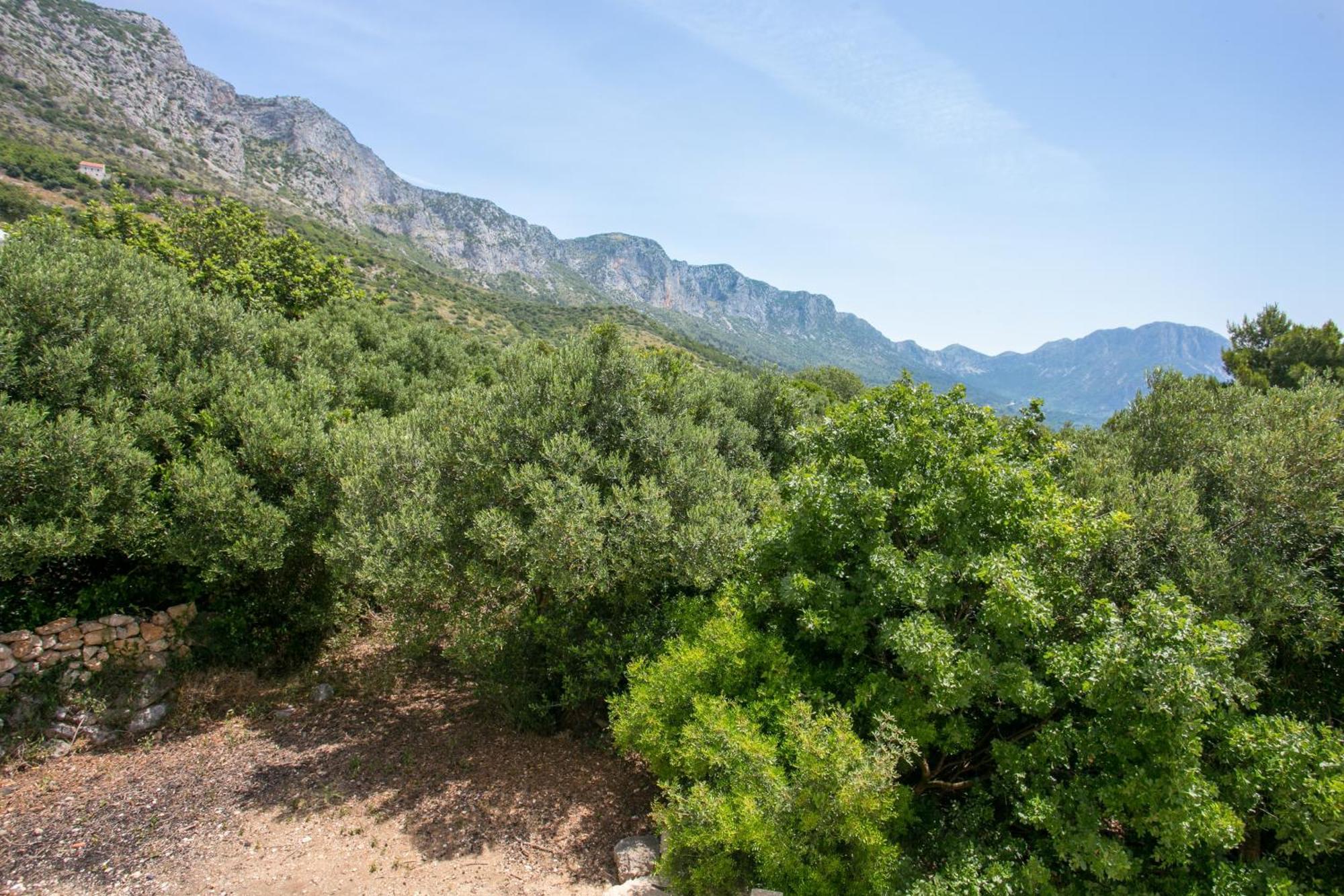 With A Parking Space Podaca, Makarska - 6736 Apartment Podaca